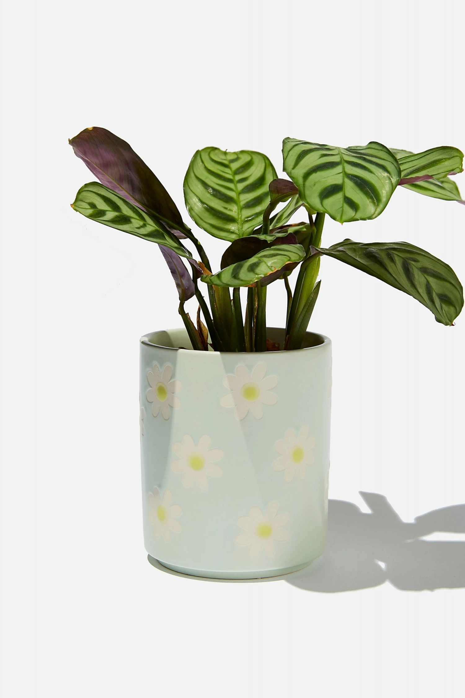 Typo Pen Holder - Image 2