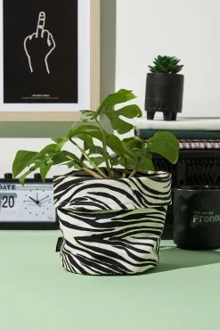 Typo Canvas Planters