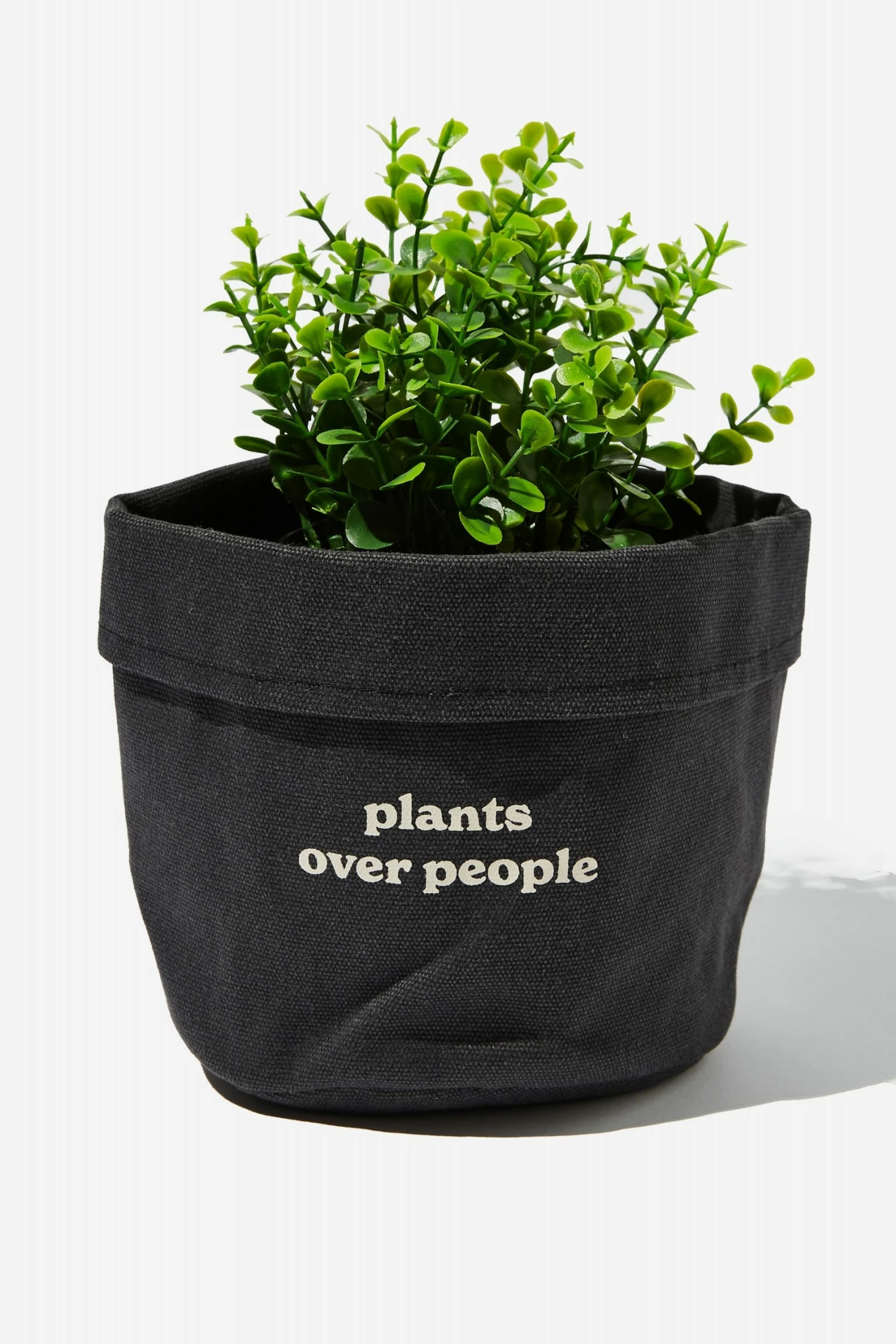 Typo Canvas Planters