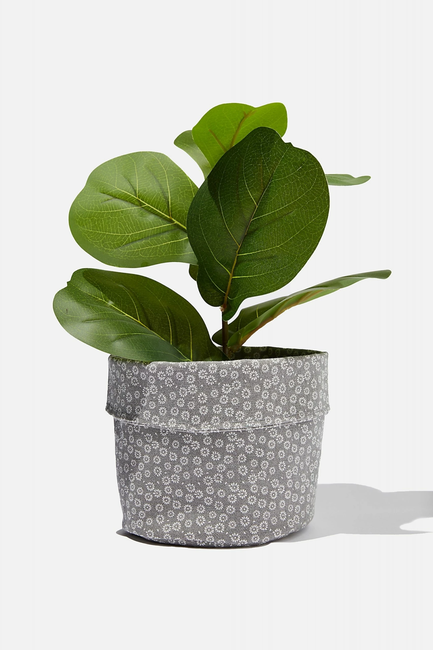 Typo Canvas Planters