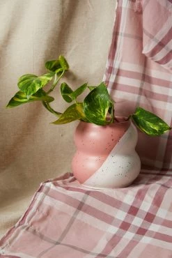 Typo Shape Shifter Planter