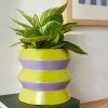 Typo Shape Shifter Planter