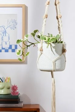 Typo DIY Macrame Plant Hanger